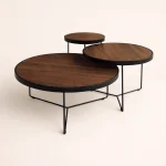 ΣΕΤ Τραπεζάκια Καθιστικού Σαλονιού Μαύρο-Καρυδί